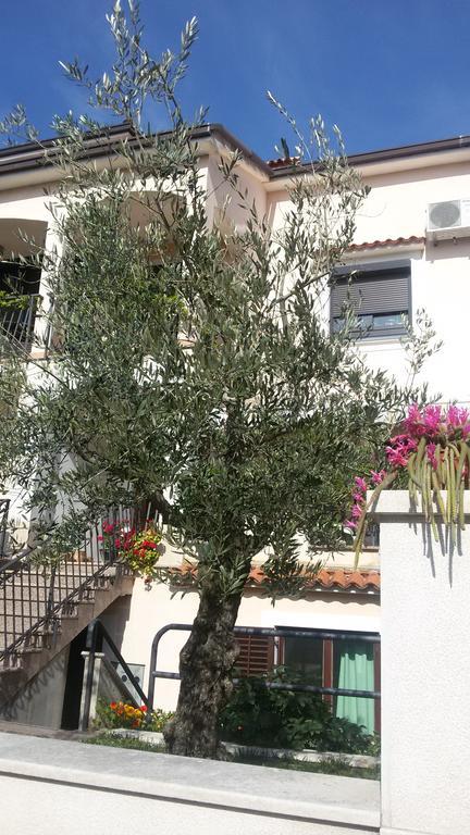 Apartment Ljubica Vrsar Exterior foto